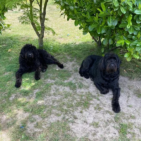 An Der Kueste * 奥门豪斯特